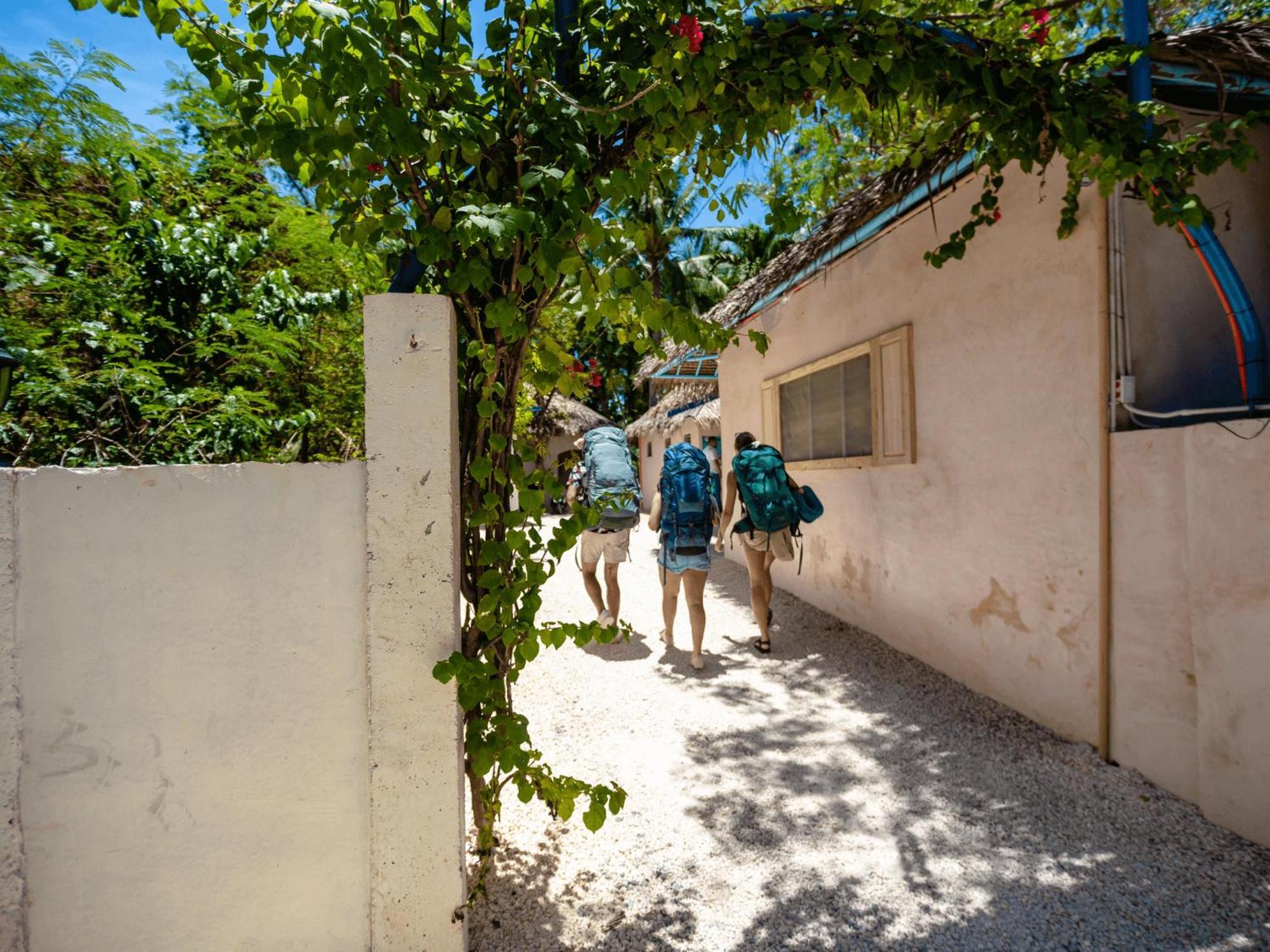 Mad Monkey Panglao Hostel ภายนอก รูปภาพ
